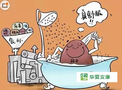 【安康养生】肝是身体的“油箱”，这些信号提示您：再不养肝就晚了！