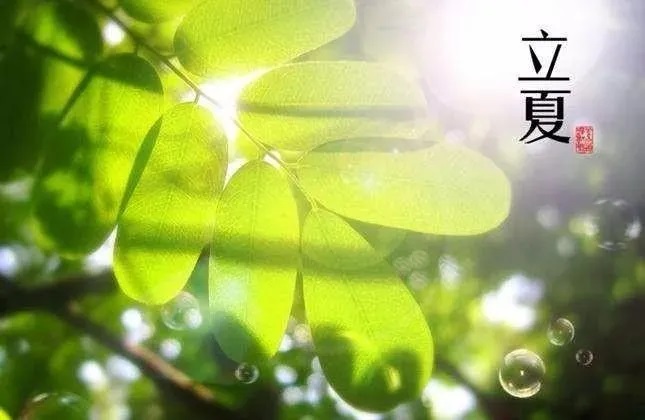 【节气 文化】劳动节假期将迎立夏节气
